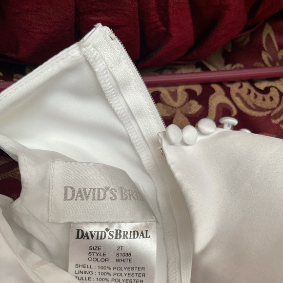 Davids Bridal Flower Girl Dress - Picture 3 of 3